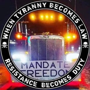 Meet your Posher, Andy